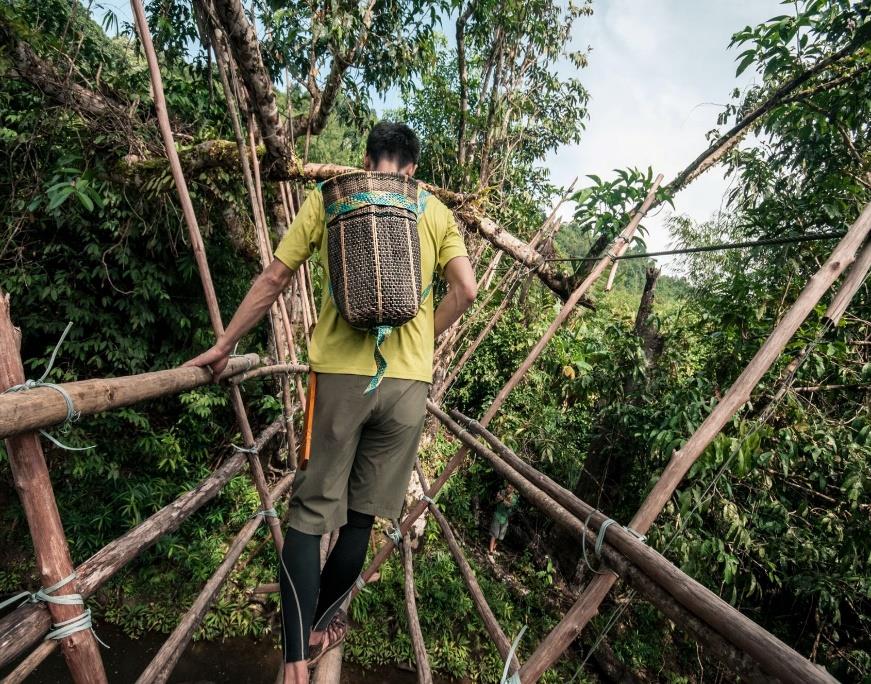 Bamboo bridge